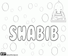 Shabib, muslimské jméno arabský původ pro chlapce, varianta Shabeeb