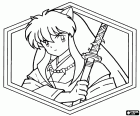 Portrét Inuyasha v hexagonální rámu. Inuyasha je hlavním protagonistou a ve stejné době je anti-hrdina