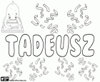 Tadeusz, varianta Taddeusz, mužské biblické jméno aramejského původu, Thaddai, název v polské a francouzské, varianta řecké jméno Thaddaios a Latinská název Thaddeus, Tadeáš