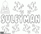 Suleyman, turecký název pro chlapce, varianty Sulayman, Sulaiman, Suleiman a Sulejman, odvozeno od jména hebrejského původu Shelomoh, Solomon, jeho význam je klid