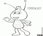 Willy je přítel Maya bee, důležitá postava ve filmu Včelka Mája: Medové hry