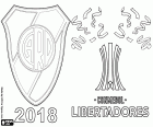 River Plate po dosaženo titul Mistr Conmebol Libertadores 2018, vyhrát historický a kontroverzní finále proti Boca Juniors