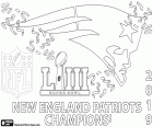 New England Patriots jsou šampióni Super Bowl 2019. Překonala ve finále Los Angeles Rams v 13-3. MVP byl Julian Edelman. New England Patriots a zadák Tom Brady mají jejich Šestý titul šampiona