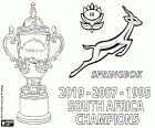 Jižní Afrika je novým šampionem v Rugby světě 2019. Springboks získal titul třetího světa po 1995 a 2007