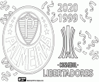 Palmeiras ze Sao Paula získal titul v roce 2020 Copa Libertadores, porazil Santos 1-0 s cílem v prodloužení. Toto je druhý kontinentální šampionát Palmeiras po Copa Libertadores 1999