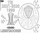 Sociedade Esportiva Palmeiras získala svůj třetí titul šampiona Copa Libertadores. Palmeiras porazili Flamengo 2-1 ve finále s góly raphaela v 5. minutě a rozhodujícím gólem od Deyversona v 95. minutě a v 72. minutě gólem gabriela Barbosy pro tým carioca.
