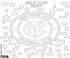 New York City Football Club vyhrál svůj první mistrovský titul MLS Cup 2021