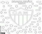 Clube Atlético Mineiro je šampionem Brasileirão 2021, Série A brazilského šampionátu. Jedná se o druhý titul klubu Belo Horizonte po titulu dosaženém před padesáti lety, v roce 1971.