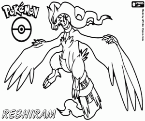 Omalovánka Reshiram, černá pokémon