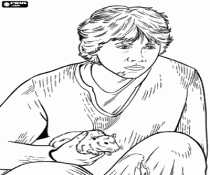 Omalovánka Ron s krysou v ruce