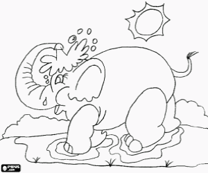 Omalovánka Sloní sprcha