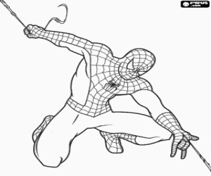 Omalovánka Spiderman a jeho pavučina