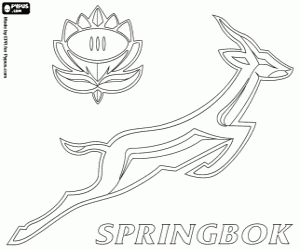 Omalovánka Sringboks logo