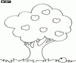 Omalovánka Strom s plody