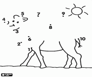 Omalovánka Tečka tečka, velbloud