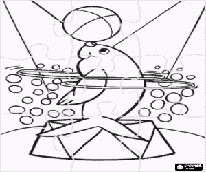 Omalovánka Tuleň v cirkusové puzzle