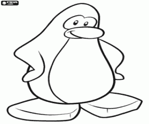 Omalovánka Tučňák z Club Penguin