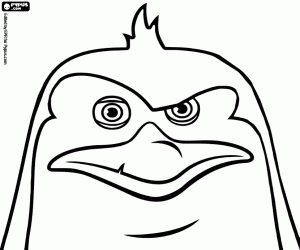 Omalovánka Tvář Rico, česaná tučňák