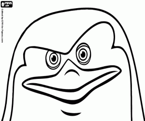 Omalovánka Tvář Skipper