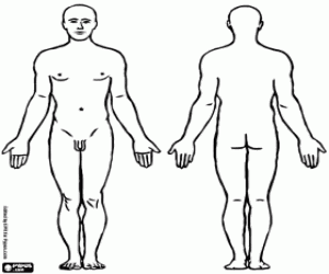 Omalovánka Tělo muže