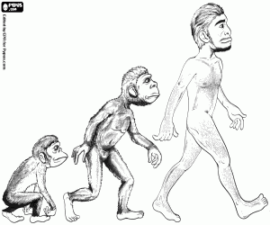 Omalovánka Tři etapy, lidská evoluce