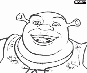 Omalovánka Usmívající se tvář Shrek