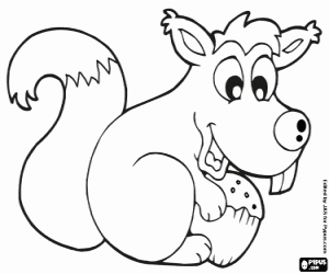 Omalovánka Veverka a žalud