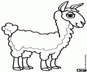 Omalovánka Vikuňa od and