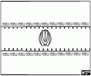 Omalovánka Vlajka Íránu