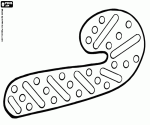 Omalovánka Vánoční sušenka jako cukrová tyčinka