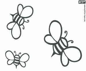 Omalovánka Včely, producentů medu