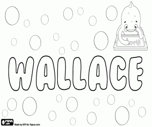 Omalovánka Wallace, skotské a anglické jméno