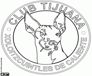 Omalovánka Xolos de Tijuana emblém