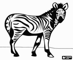 Omalovánka Zebra, divoké zvíře