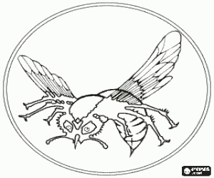 Omalovánka Zelený sršeň Logo