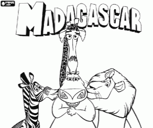 Omalovánka Zvířata z Madagaskaru