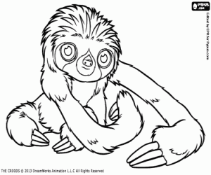 Omalovánka Zvíře Boy je Pásek