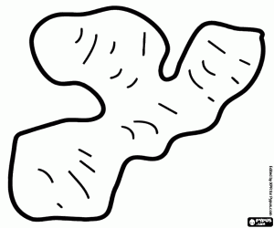 Omalovánka Zázvor, oddenek