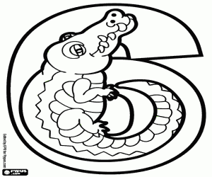 Omalovánka Číslo šest, krokodýl