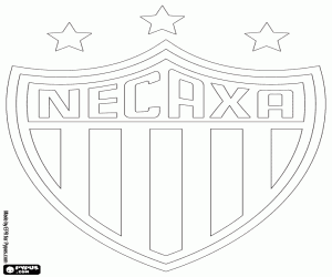 Omalovánka Štít Club Necaxa