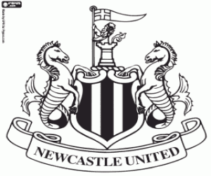 Omalovánka Štít z Newcastle United