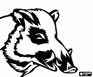 Omalovánka Šéf kančí kly