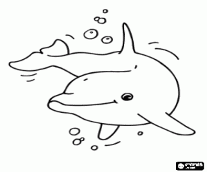Omalovánka šťastný  delfín v moři