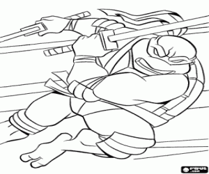 Omalovánka Želva ninja Leonardo a katany