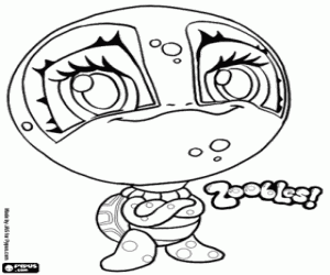 Omalovánka Želva, Zooble od Petagonia