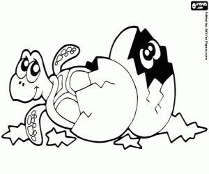 Omalovánka Želví vejce